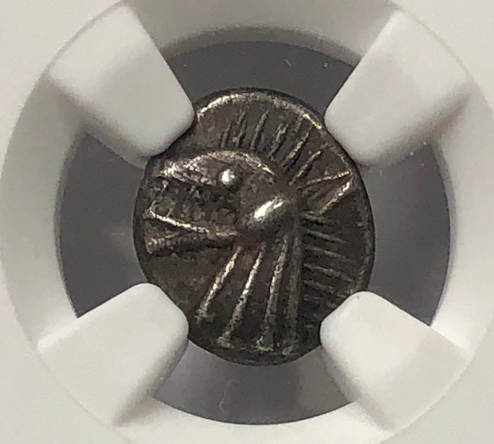 
                
                    Load image into Gallery viewer, Caria Cindys NGC CH XF 4x4 Ketos the Sea Monster coin
                
            