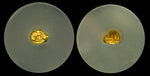 Lydia Croesus 24th Stater Heavy Series Ch-MS Star